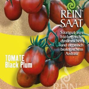 Black Plum