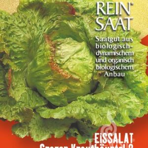 Grazer Krauthäuptel 2       