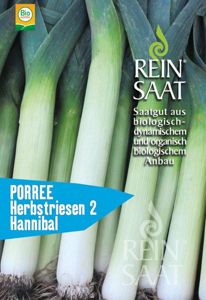Herbstriesen 2 Hannibal