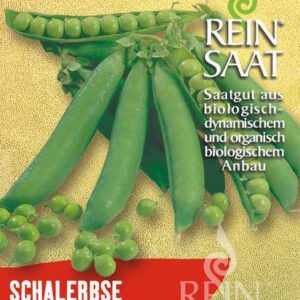 Kleine Rheinländerin