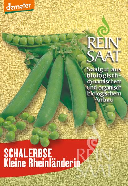 Kleine Rheinländerin