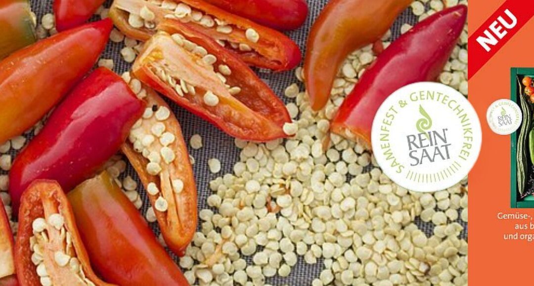 Több mint vetőmag – mi rejlik egy biodinamikus magban?